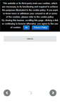 Mobile Screenshot of parallelprojecttraining.com